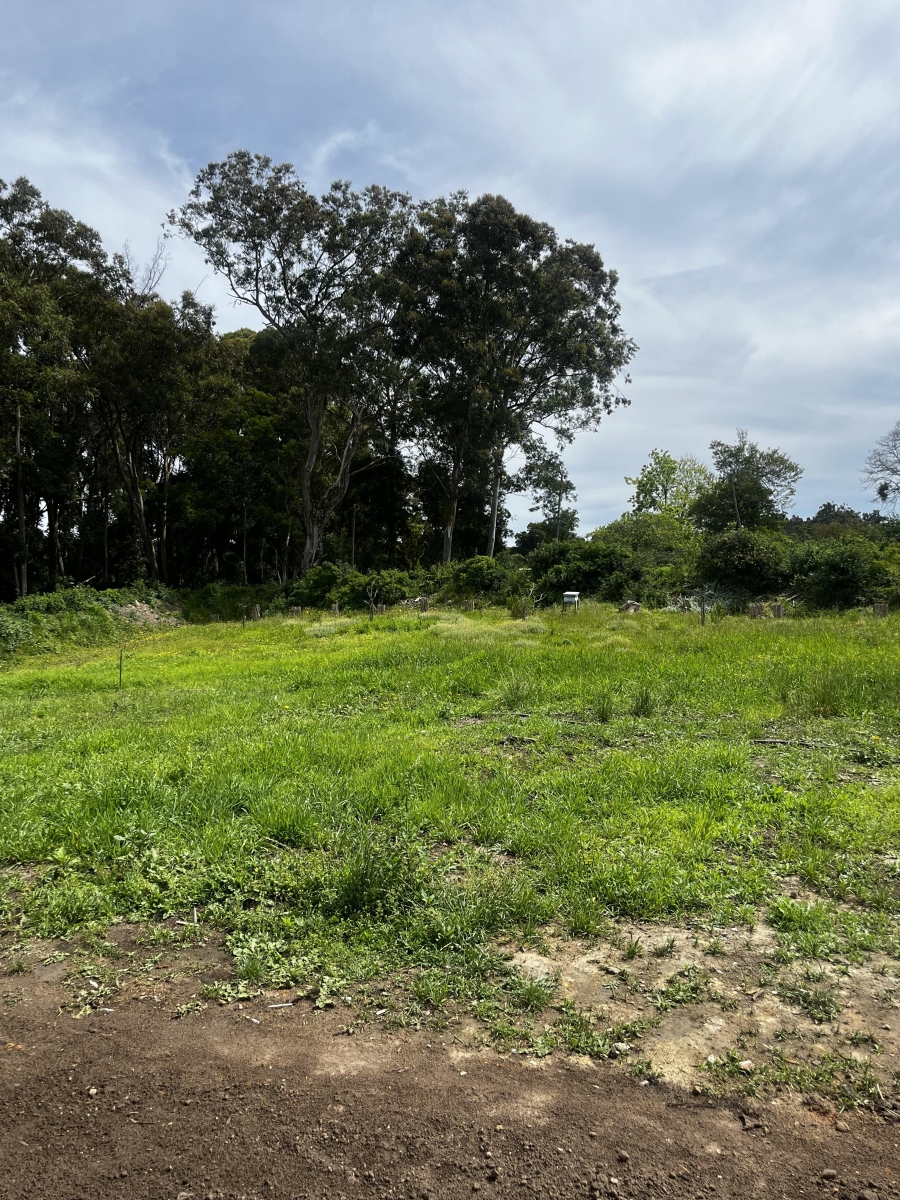 To Let 2 Bedroom Property for Rent in Plettenberg Bay Rural Western Cape